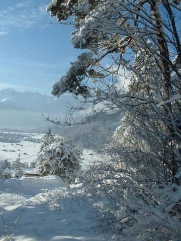 Landgasthof Kirchmayer Фархант Екстер'єр фото