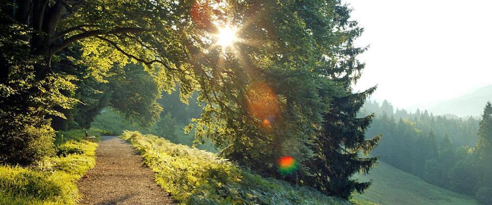 Landgasthof Kirchmayer Фархант Екстер'єр фото